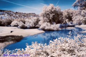 Oroville Meadow scaled